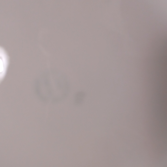 VINTAGE GERMAN CROWN DECORATIVE PLATE - Picture 3 of 4